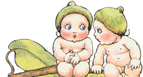 Gumnut babies Illustration