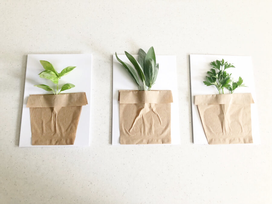 Herb Planter Cards Complete