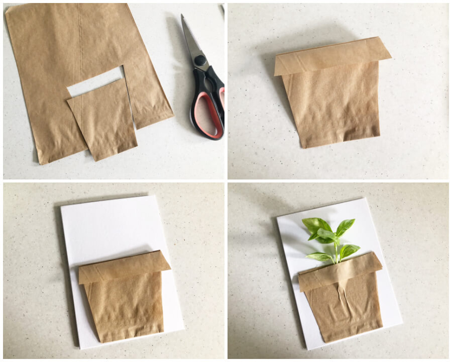 Herb Planter Cards Instructions