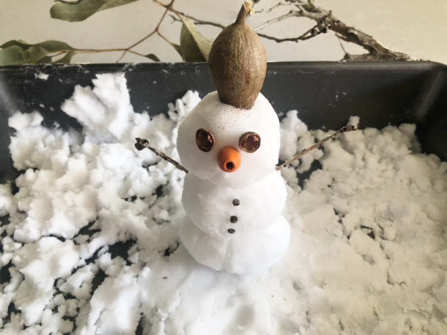 An Aussie inspired snowman craft
